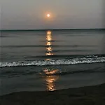 Bali 202