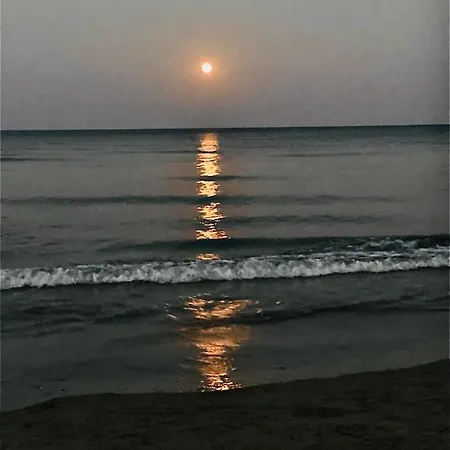 Bali 202