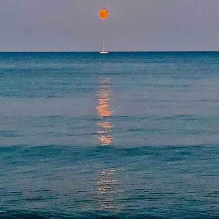 Bali 202 דירה *