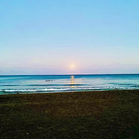 Bali 202 *